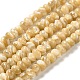 Brins de perles de coquillages naturels de troca SHEL-K006-25A-1