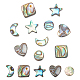 Nbeads 10 pièces 5 styles coquille d'ormeau naturel/ensembles de perles de coquille de paua SSHEL-NB0001-43-1