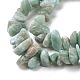 Natural Amazonite Chip Beads Strands G-M205-64-1-4