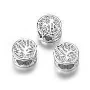Латунные бусины ZIRC-F067-09P-RS