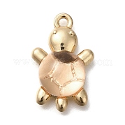 Подвески из акрилового сплава FIND-M041-03E
