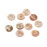 Conchiglia abalone / conchiglia paua&nbsp;BSHE-I011-04E
