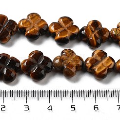 Natürlichen Tigerauge Perlen Stränge&nbsp;G-P520-A09-01
