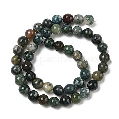Natur Indien Achat Perlen Stränge&nbsp;G-A248-A01-02