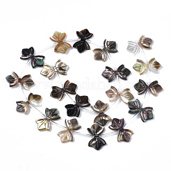 Naturel noir à lèvres shell perles brins&nbsp;SSHEL-S278-123A