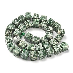 Natürliche grüne Fleck Jaspis Perlen Stränge&nbsp;G-D338-A03