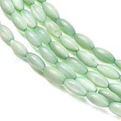 Naturali di acqua dolce perline shell fili&nbsp;SHEL-C010-01