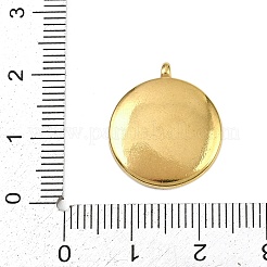 Pendentifs en acier inoxydable 304&nbsp;STAS-D042-04A-G