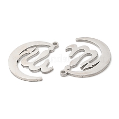 Colgantes de acero inoxidable 304 que no se deslustran&nbsp;STAS-Z041-35P