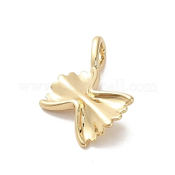 Messing Anhänger & Charms&nbsp;KK-H493-02G-02