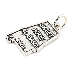 Aluminium Anhänger & Charms&nbsp;FIND-Z055-02AS