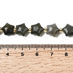 Natur Labradorit Perlen Stränge&nbsp;G-Z080-A33-10mm