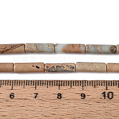 Shoushan Natursteinperlen Stränge&nbsp;G-T141-78B