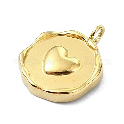 Pendentifs en acier inoxydable 304 avec placage ionique (IP)&nbsp;STAS-B058-23G-03