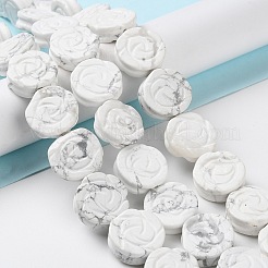 Natürliche Howlith Perlen Stränge&nbsp;G-B065-B15