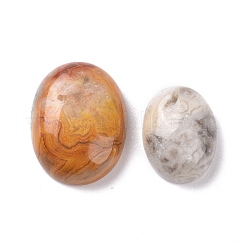 Cabochon agata folli naturali&nbsp;G-P468-16A-02