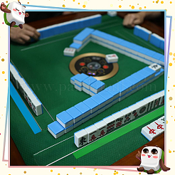 8 Stück Mahjong-Steineschieber aus Acryl&nbsp;AJEW-BC0010-74