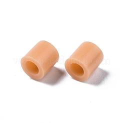 Pe Bügelperlen&nbsp;X-DIY-R013-18