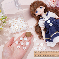 100 Stück Muschelknöpfe&nbsp;FIND-WR0012-85