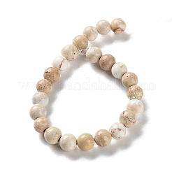 Gefärbte natürliche Regalit/Imperial Jaspis/Meeressediment Jaspis Perlen Stränge&nbsp;G-B124-C01-17