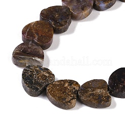 Perle di diaspro naturale fili&nbsp;G-K362-H02-01