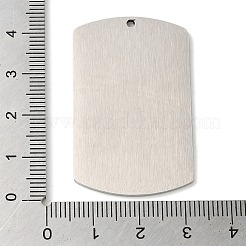 Pendentifs en acier inoxydable 304 anti-ternissement&nbsp;LS-STAS-C098-01I-P