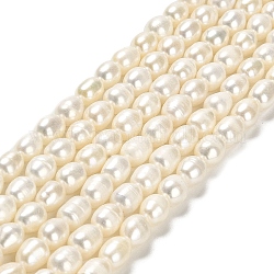 Fili di perle di perle d'acqua dolce coltivate naturali, riso, grado 3 un, bianco, 7~8x6~7mm, Foro: 0.6 mm, circa 45pcs/filo, 13.78'' (35 cm)
