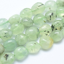 Chapelets de perles en préhnite naturelle, pierre roulée, pépites, 10~16x7~14mm, Trou: 0.8mm, Environ 25~35 pcs/chapelet, 15.7 pouce (40 cm)