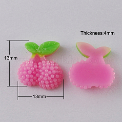 Resin Cabochons, Fruit, Hot Pink, 13x13x4mm
