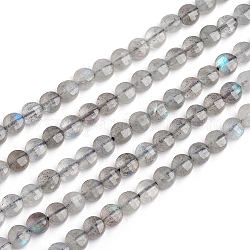 Chapelets de perles en labradorite naturelle , plat rond, facette, 4x3mm, Trou: 0.8mm, Environ 88 pcs/chapelet, 14.57 pouce (37 cm)
