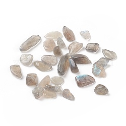 Perles naturelles de labradorite, sans trou, 9x7mm