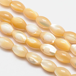 Chapelets de perles ovales en coquillage naturel, mocassin, 9x6mm, Trou: 1mm, Environ 47 pcs/chapelet, 15.9 pouce