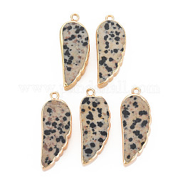 Natural Dalmatian Jasper Pendants, with Light Gold Plated Iron Loop, Wing, 33~33.5x12~13x5~6mm, Hole: 1.8mm