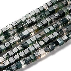 Chapelets de perles en agate mousse naturelle, cube, 4~5x4~5mm, Trou: 1mm, Environ 94 pcs/chapelet, 15.04 pouce (38.2~38.6 cm)