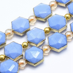 Electroplate Opaque Glass Beads Strands, Pearl Luster Plated, with Golden Tone Brass Findings, Faceted, Hexagon & Round, Cornflower Blue, 15x14x9mm, Hole: 1mm, about 9pcs/strand, 7.2 inch(18.5cm)