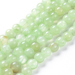 Chapelets de perles en préhnite naturelle, teinte, ronde, 10mm, Trou: 1.4mm, Environ 42 pcs/chapelet, 15.55 pouce (39.5 cm)