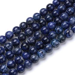Brins de perles de sodalite naturelle et teintée, ronde, 6mm, Trou: 1mm, Environ 70 pcs/chapelet, 15.7 pouce