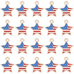Sunnyclue 1 scatola ciondoli bandiera americana ciondoli patriottici giorno dell'indipendenza usa stelle e strisce fascino 4 luglio smalto stella fascini per la creazione di gioielli orecchino di fascino braccialetto collana portachiavi artigianato fai da te