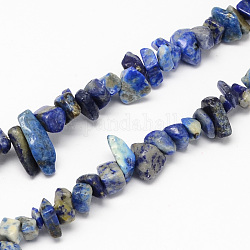 Lapis lazuli pietra naturali filoni di perle, pezzo, 4~10x4~6x2~4mm, Foro: 1 mm, circa 320pcs/filo, 35.4 pollice