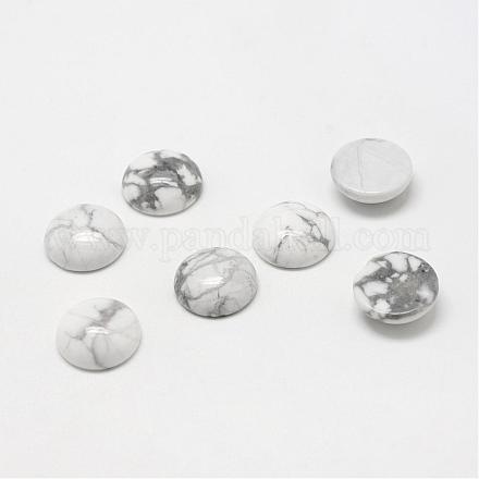 Cabochons de pierre gemme en howlite naturelle G-T020-8mm-01-1