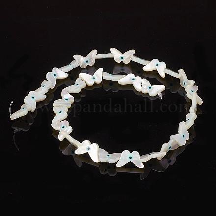 Natural Sea Shell Beads SSHEL-F293-20-1