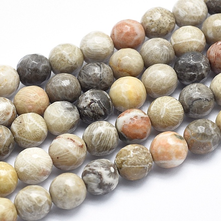 Fossiles naturelle perles de corail brins G-K256-11-8mm-1