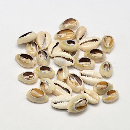 Natürliche Kaurimuschel Perlen BSHE-O007-71-1