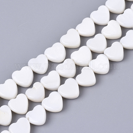 Eau douce naturelle de coquillage perles brins SHEL-N027-01-1
