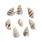 Natural Spiral Shell Beads, Center Drilled, Shell-Shaped, Coconut Brown, 13~17x8~9.5x6.5~9.5mm, about 3571pcs/1000g