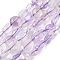 Natural Light Amethyst Nuggets Beads Strands, Tumbled Stone, 5~10x6~7x3~7mm, hole: 1mm, about 14.9 inch~15.7 inch