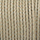 Eco-Friendly Braided Leather Cord WL-E015-3mm-19-2