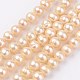 Natural Cultured Freshwater Pearl Beads Strands PEAR-D187-40-1