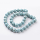 Dyed Natural Fossil Beads Strands G-E328-10mm-20-3