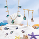 Hobbiesay 12 pièces 3 styles coquille d'ormeau naturelle/perles de coquille de paua SHEL-HY0001-02-5